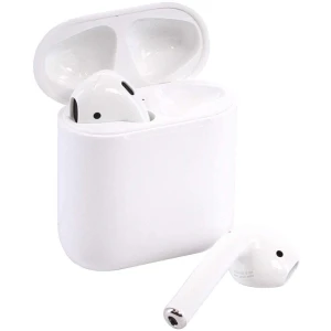 Apple AirPods 2 with Charging Case